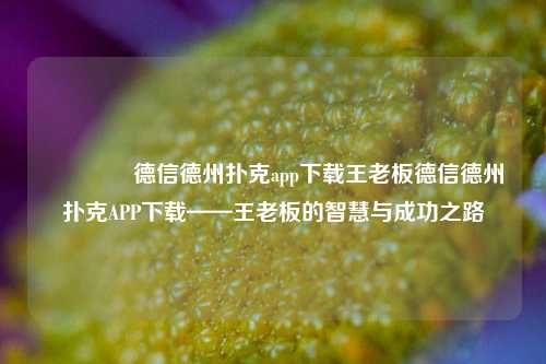 🥉德信德州扑克app下载王老板德信德州扑克APP下载——王老板的智慧与成功之路