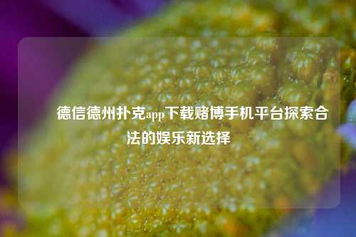 ✌️德信德州扑克app下载赌博手机平台探索合法的娱乐新选择