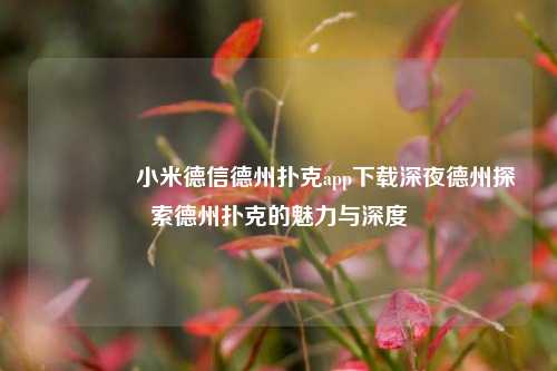 🏆小米德信德州扑克app下载深夜德州探索德州扑克的魅力与深度