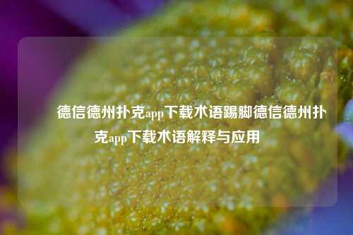 ✌️德信德州扑克app下载术语踢脚德信德州扑克app下载术语解释与应用