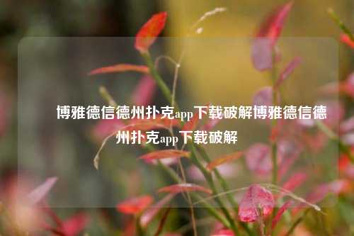 ✌️博雅德信德州扑克app下载破解博雅德信德州扑克app下载破解