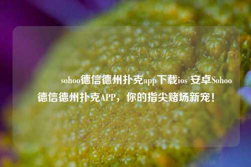👈sohoo德信德州扑克app下载ios 安卓Sohoo德信德州扑克APP，你的指尖赌场新宠！