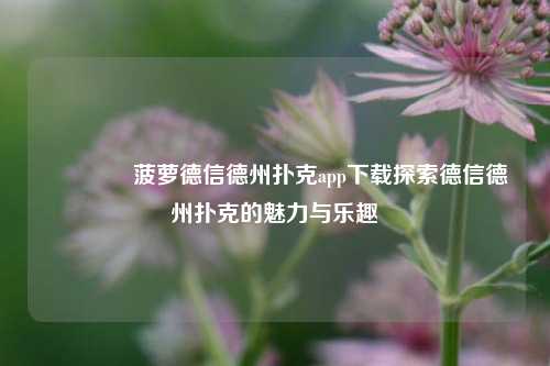 👍菠萝德信德州扑克app下载探索德信德州扑克的魅力与乐趣