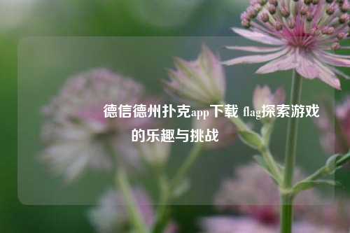 🎖️德信德州扑克app下载 flag探索游戏的乐趣与挑战