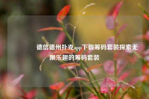 🥇德信德州扑克app下载筹码套装探索无限乐趣的筹码套装