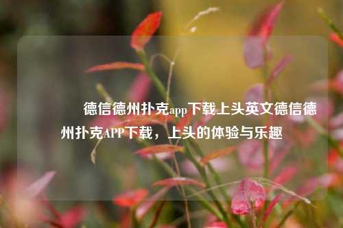 🏅德信德州扑克app下载上头英文德信德州扑克APP下载，上头的体验与乐趣