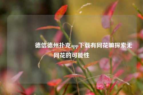🥇德信德州扑克app下载有同花嘛探索无同花的可能性