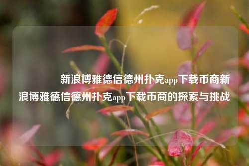 👈新浪博雅德信德州扑克app下载币商新浪博雅德信德州扑克app下载币商的探索与挑战