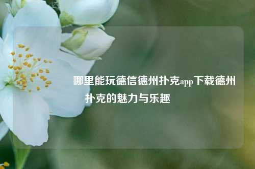 🎖️哪里能玩德信德州扑克app下载德州扑克的魅力与乐趣