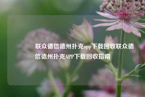 👈联众德信德州扑克app下载回收联众德信德州扑克APP下载回收指南