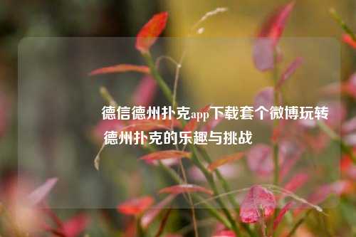 🎖️德信德州扑克app下载套个微博玩转德州扑克的乐趣与挑战
