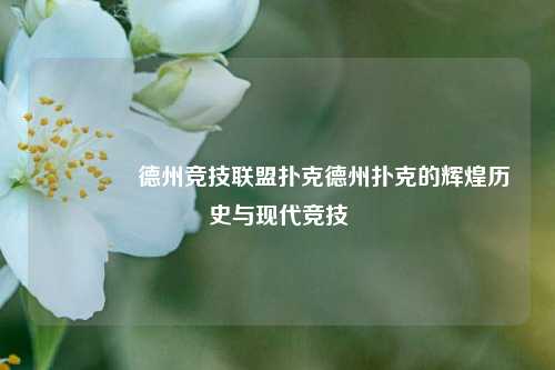 🥈德州竞技联盟扑克德州扑克的辉煌历史与现代竞技