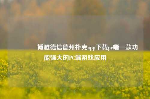 🥇博雅德信德州扑克app下载pc端一款功能强大的PC端游戏应用