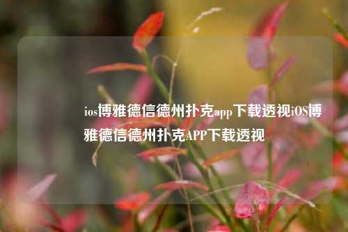 🌈ios博雅德信德州扑克app下载透视iOS博雅德信德州扑克APP下载透视