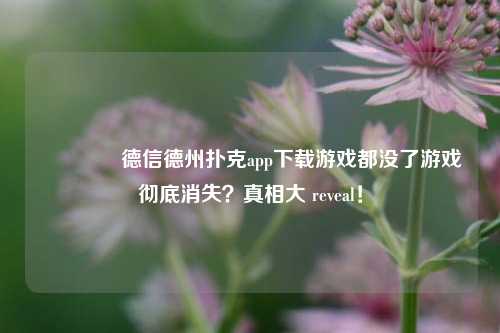 🥉德信德州扑克app下载游戏都没了游戏彻底消失？真相大 reveal！
