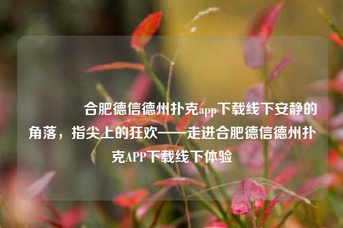 🏅合肥德信德州扑克app下载线下安静的角落，指尖上的狂欢——走进合肥德信德州扑克APP下载线下体验