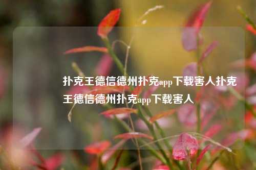 🥈扑克王德信德州扑克app下载害人扑克王德信德州扑克app下载害人