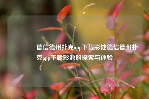 👍德信德州扑克app下载彩池德信德州扑克app下载彩池的探索与体验