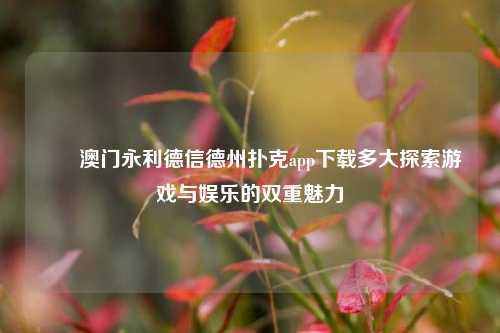 ✌️澳门永利德信德州扑克app下载多大探索游戏与娱乐的双重魅力