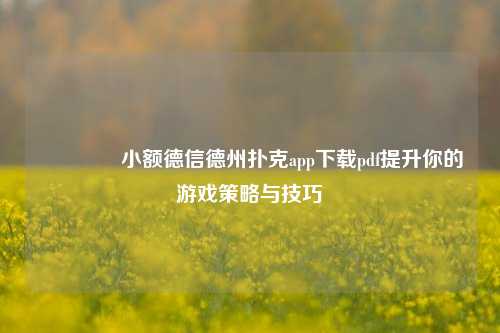 🥉小额德信德州扑克app下载pdf提升你的游戏策略与技巧