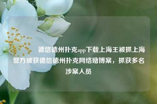 👍德信德州扑克app下载上海王被抓上海警方破获德信德州扑克网络赌博案，抓获多名涉案人员
