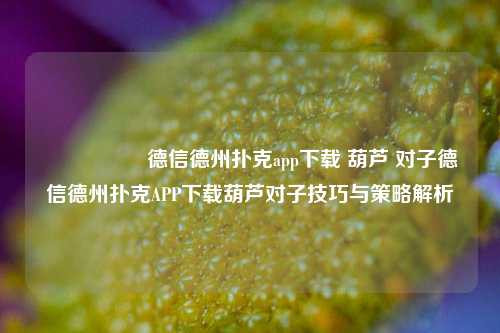 🎖️德信德州扑克app下载 葫芦 对子德信德州扑克APP下载葫芦对子技巧与策略解析