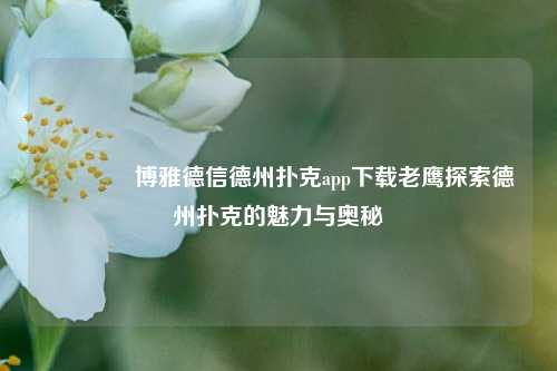 👉博雅德信德州扑克app下载老鹰探索德州扑克的魅力与奥秘