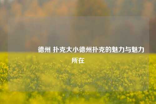 🥇德州 扑克大小德州扑克的魅力与魅力所在