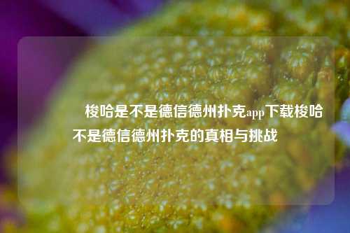 🌈梭哈是不是德信德州扑克app下载梭哈不是德信德州扑克的真相与挑战
