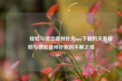 🥉梭哈与德信德州扑克app下载的关系梭哈与德信德州扑克的不解之缘