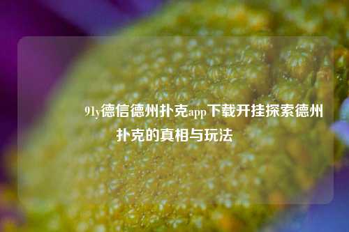 🥈91y德信德州扑克app下载开挂探索德州扑克的真相与玩法