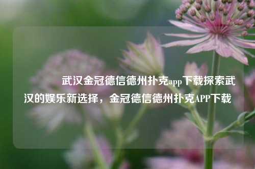 👉武汉金冠德信德州扑克app下载探索武汉的娱乐新选择，金冠德信德州扑克APP下载