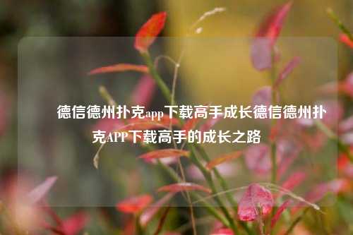 ✌️德信德州扑克app下载高手成长德信德州扑克APP下载高手的成长之路