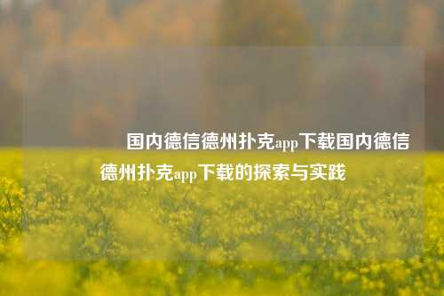 🎖️国内德信德州扑克app下载国内德信德州扑克app下载的探索与实践