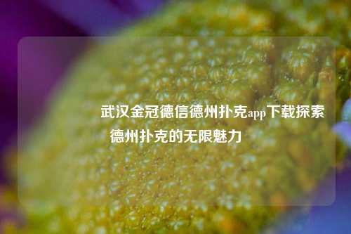 🎖️武汉金冠德信德州扑克app下载探索德州扑克的无限魅力