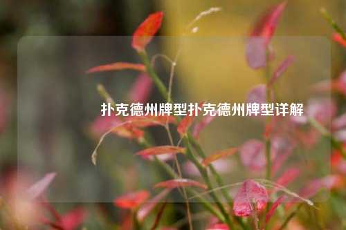 🏅扑克德州牌型扑克德州牌型详解