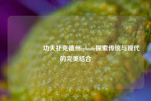 🎖️功夫扑克德州iphone探索传统与现代的完美结合