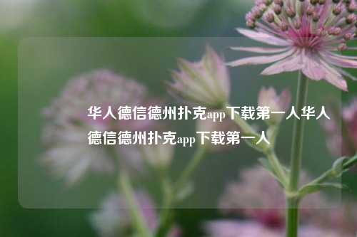 🥈华人德信德州扑克app下载第一人华人德信德州扑克app下载第一人