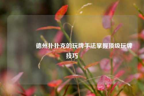🥉德州扑扑克的玩牌手法掌握顶级玩牌技巧