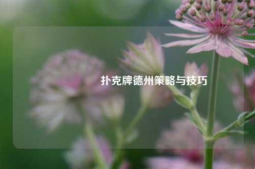 🎖️扑克牌德州策略与技巧