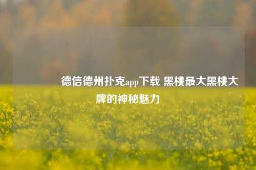 👈德信德州扑克app下载 黑桃最大黑桃大牌的神秘魅力