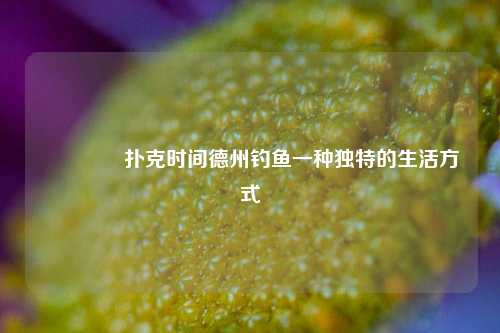 🌈扑克时间德州钓鱼一种独特的生活方式