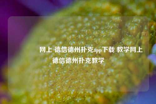 🥈网上 德信德州扑克app下载 教学网上德信德州扑克教学