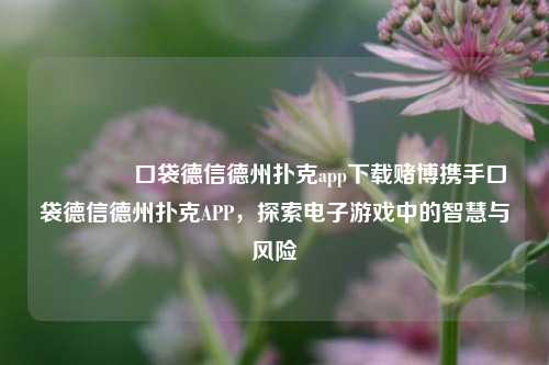 🏆口袋德信德州扑克app下载赌博携手口袋德信德州扑克APP，探索电子游戏中的智慧与风险