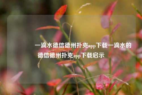 👈一滴水德信德州扑克app下载一滴水的德信德州扑克app下载启示