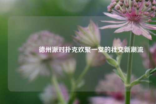 🥈德州派对扑克欢聚一堂的社交新潮流