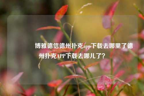 🏅博雅德信德州扑克app下载去哪里了德州扑克APP下载去哪儿了？