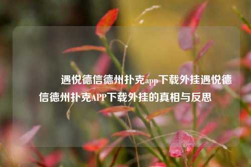 👉遇悦德信德州扑克app下载外挂遇悦德信德州扑克APP下载外挂的真相与反思