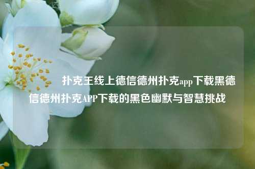🥇扑克王线上德信德州扑克app下载黑德信德州扑克APP下载的黑色幽默与智慧挑战