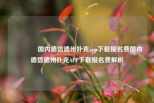 🥈国内德信德州扑克app下载报名费国内德信德州扑克APP下载报名费解析